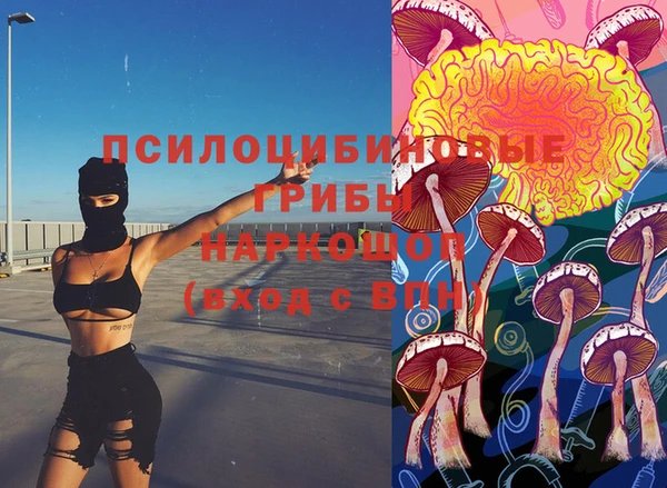 гидропоника Балабаново
