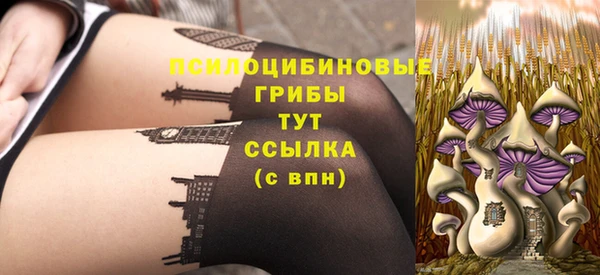 mdpv Баксан